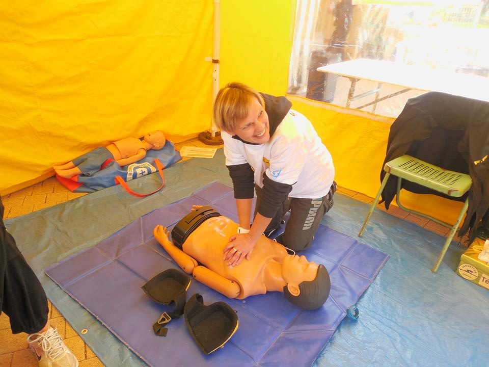 delphine au fil rouge