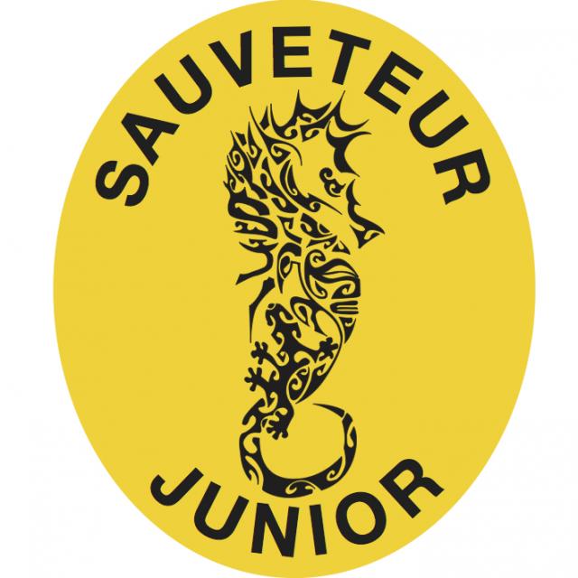Secouristes Français Croix Blanche - Sauveteur Junior